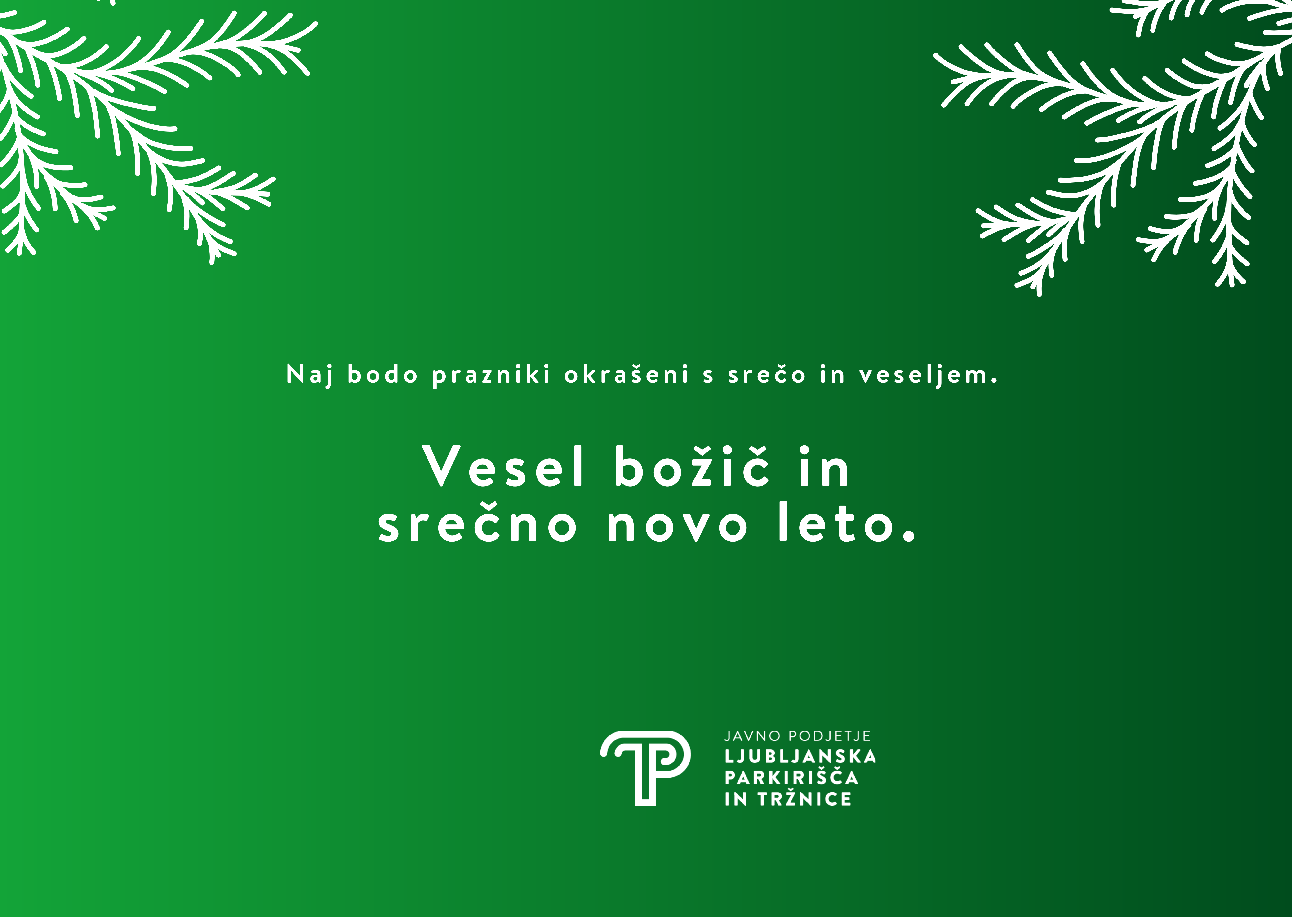 Merry Christmas And Happy New Year Greeting Card 2