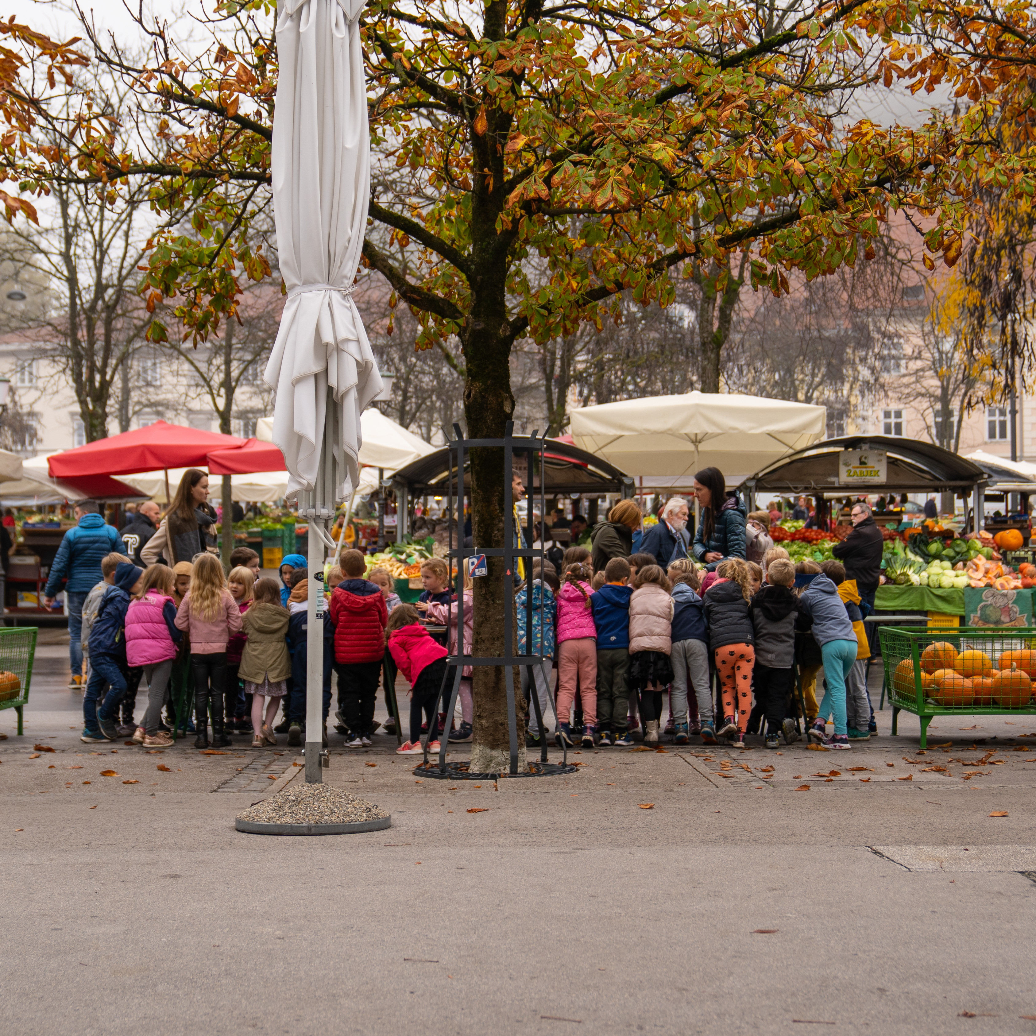 Halloween Trznica 2022 1