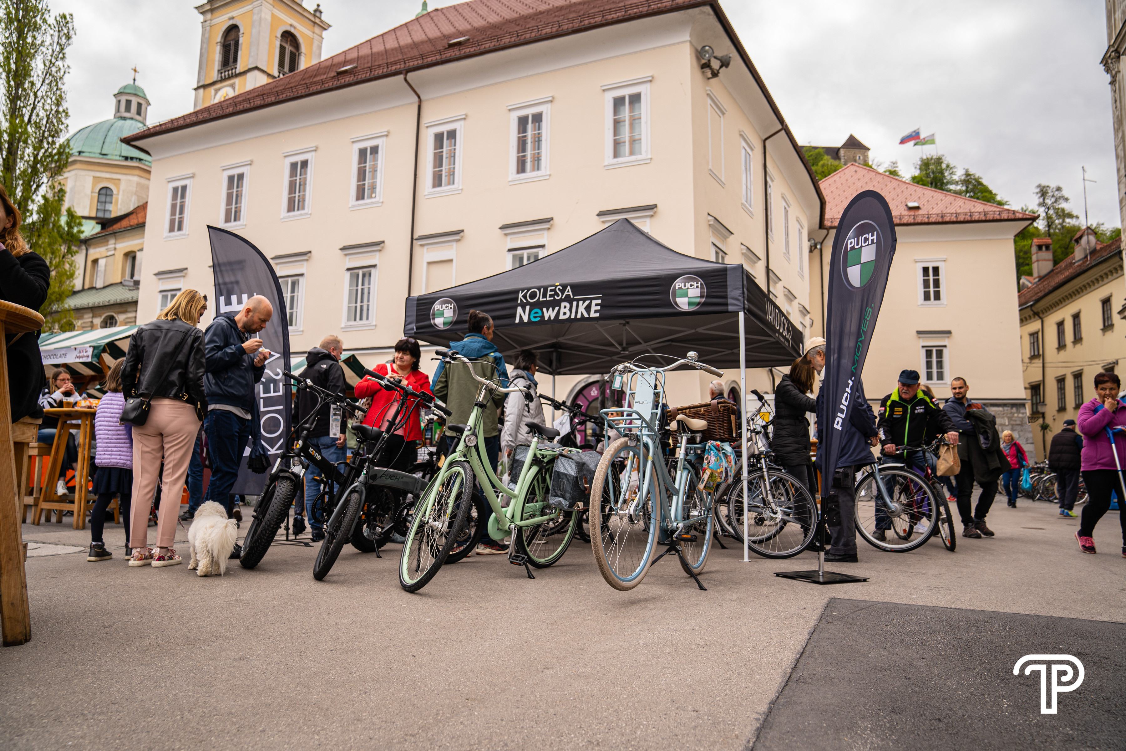 Cili In Cokolada Splet 11