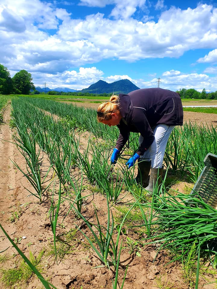 188015929 4105782472793293 7569115057273993126 N